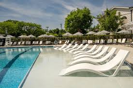 Image result for Romsey and Totton Swimming Club