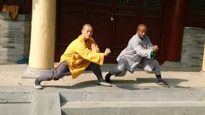 Image result for Dragon Wushu Club