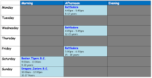 Image result for Dragons Junior Badminton Club