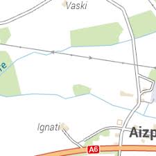 Attēlu rezultāti vaicājumam “Dryophilocoris flavoquadrimaculatus imago”