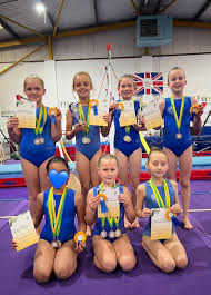 Image result for Brumby Gymnastics Club