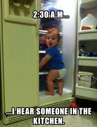 Image result for funniest picture ever