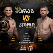 Image result for მერაბი