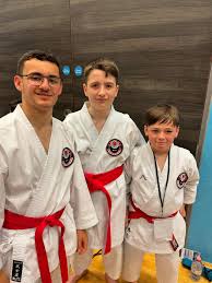 Image result for middlesbrough karate academy