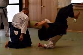 Image result for Bracknell Aikido Club