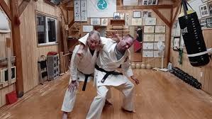 Image result for Seiki Juku Karate Club