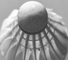 Image result for Chelmsford Junior Badminton Club