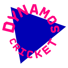 Image result for Benfleet Cricket & Social Club