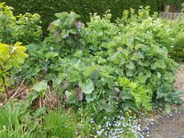 Image result for Taunton Deane