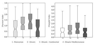 Attēlu rezultāti vaicājumam “Hymenostylium recurvirostrum macro”