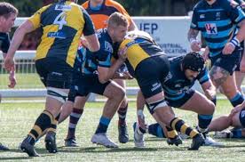 Image result for Braintree Rugby Football Club