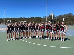 Image result for St Austell Netball now Saints