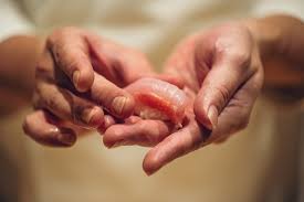 Image result for 握壽司