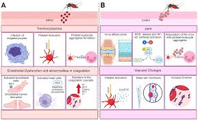Image result for Sfânta Waltrude