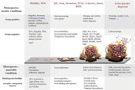 Image result for pfanzelt tehron