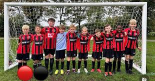 Image result for Droitwich Spa Boys & Girls Football Club