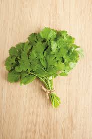 Image result for Koriander