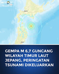 Hasil gambar untuk tsunami jepang