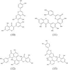 Attēlu rezultāti vaicājumam “Bryum amblyodon sporophyte”