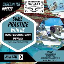 Image result for Dublin Underwater Hockey Team
