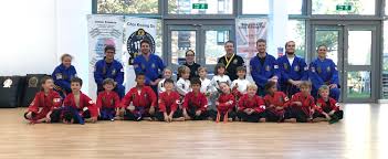 Image result for Martial Arts London