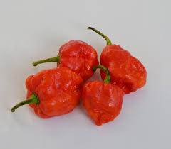 Afbeeldingsresultaat voor 7 pot hot pepper