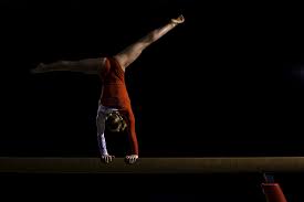 Image result for Angmering Gymnastics