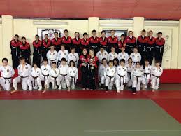 Image result for Masters of Martial Arts