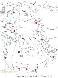 Attēlu rezultāti vaicājumam “Nardia geoscyphus”