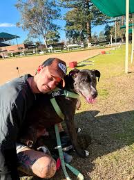 Image result for Wheldrake Bowling Club