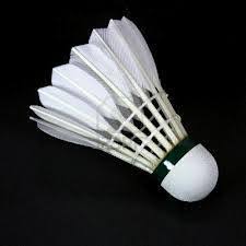 Image result for Horsforth Badminton Club