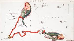 「魚座のアフロディーテ」の画像検索結果