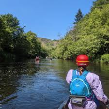 Image result for Winchester & District Canoe Club