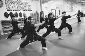 Image result for Northern Freestyle Karate Association
