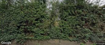 Image result for Bredgar Cricket Club