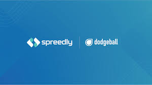 Image result for The Dodgeball Company