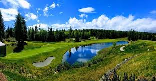 Image result for White Horse Kite Fliers Club