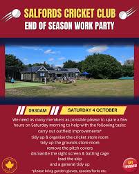 Image result for Salfords Cricket Club