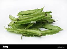 Image result for Lotus tetragonolobus