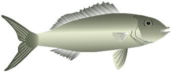 Image result for Aprion virescens