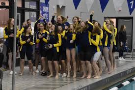 Image result for South Lincs Competitive Swimming Club