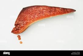 Attēlu rezultāti vaicājumam “Fistulina hepatica”