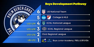 Image result for Ecs Predators Netball Club