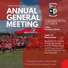 Image result for Garryowen Gfc