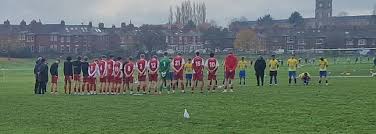 Image result for Hamilton Panthers Association Football Club