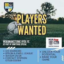 Image result for Woodmansterne Sports Fc