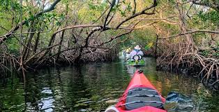 Image result for Port Of Plymouth Canoeing Association
