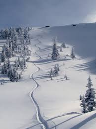 First Tracks in Steve Baugh. February 9, 2011 by livethedreamcafe. Followed by Six More Laps... in just 4 Hours! - imgp4951