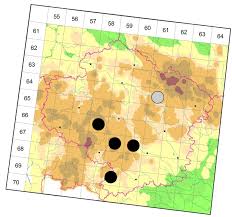 Attēlu rezultāti vaicājumam “Leistus terminatus”