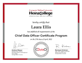 My Experience with the Chief Data Officer Certificate at Carnegie ...